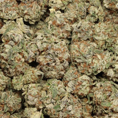 Bubba Kush wholesale