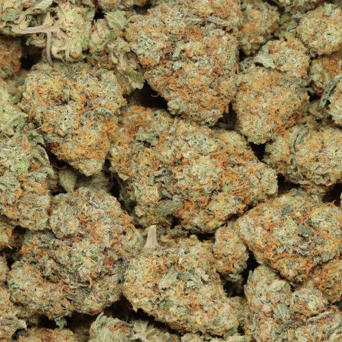 Bubba Cali Kush wholesale