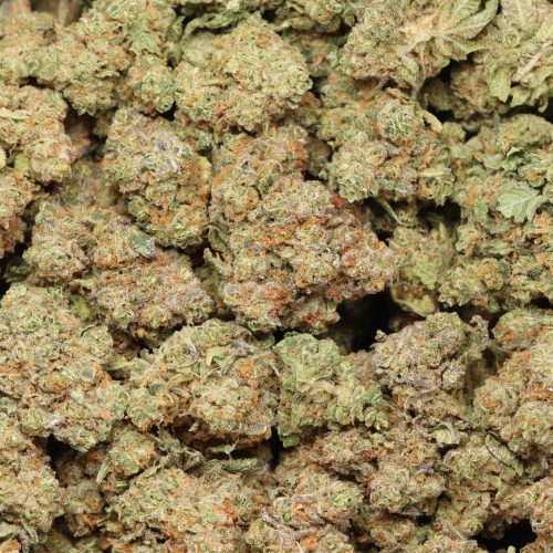 Cartel Kush wholesale