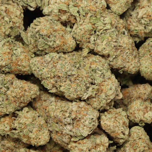 Diablo OG Kush wholesale