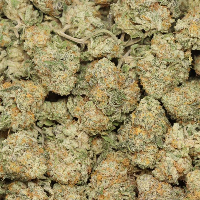 Galactic Punch wholesale