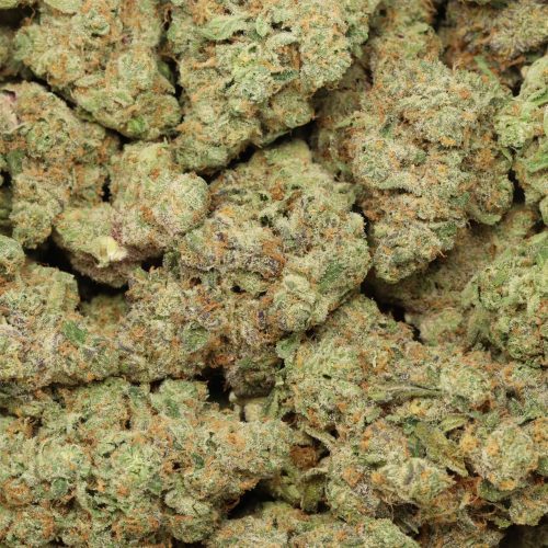 girl scout cookies wholesale