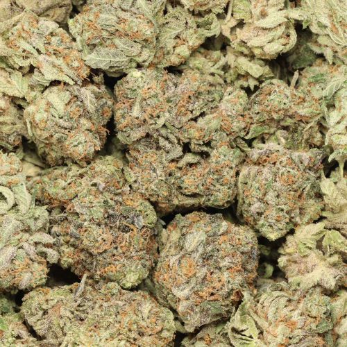 God's Green Crack wholesale