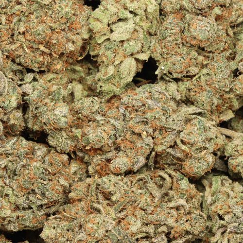 God's Green Crack wholesale