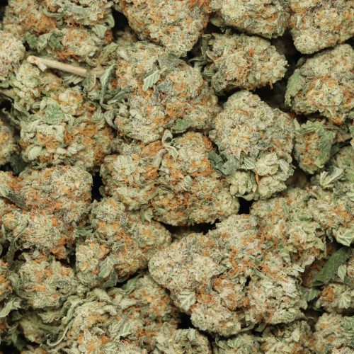 Gorilla Candy wholesale