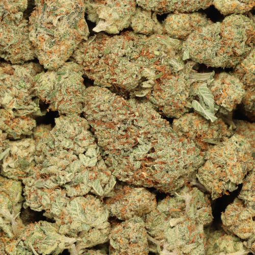 Maui Wowie wholesale