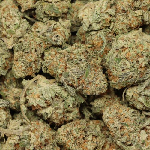 OG Kush wholesale