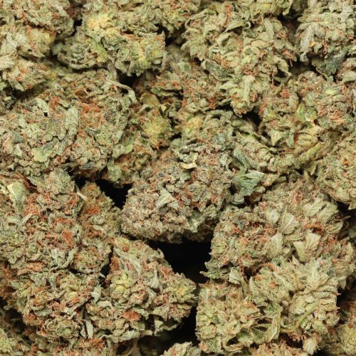 Pink Gas wholesale