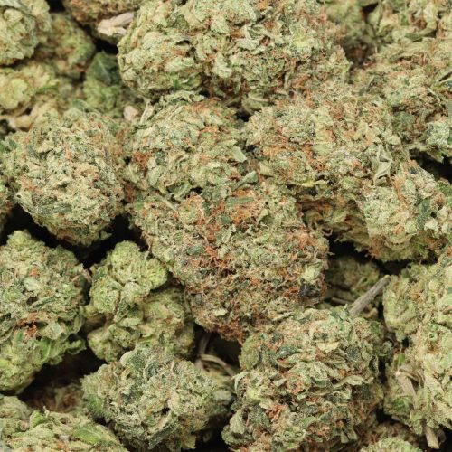 Pink Kush craft wholesale