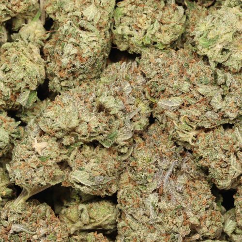 Pink Kush craft wholesale