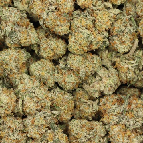 Purple Punch wholesale