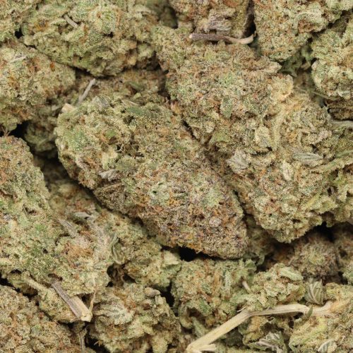 Purple Punchsicle wholesale