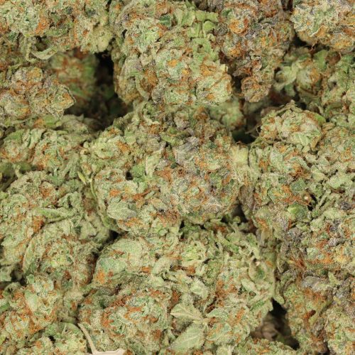 Super Lemon Haze wholesale