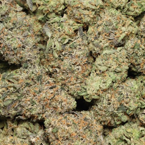 Tuna Kush craft wholesale