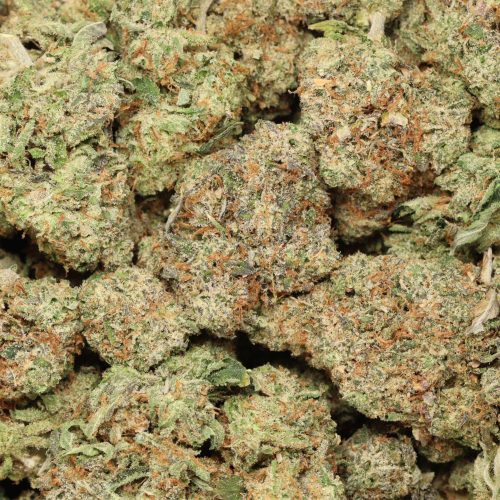 Tuna Kush craft wholesale