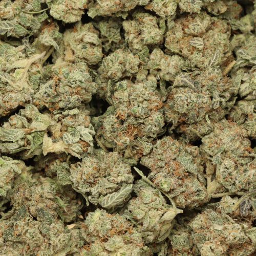 White Fire OG wholesale