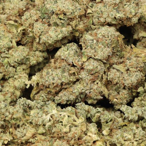 Chemo Kush wholesale