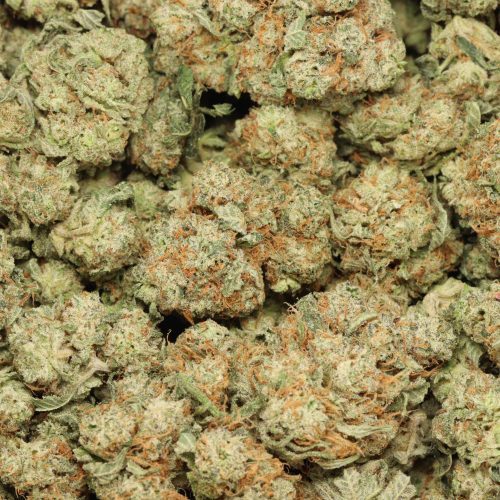 MK Ultra wholesale