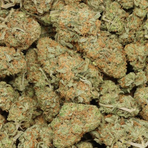 Silver Haze wholesale