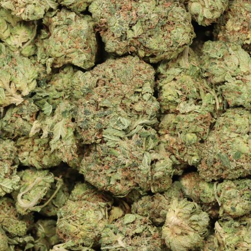 BC Pink Kush wholesale