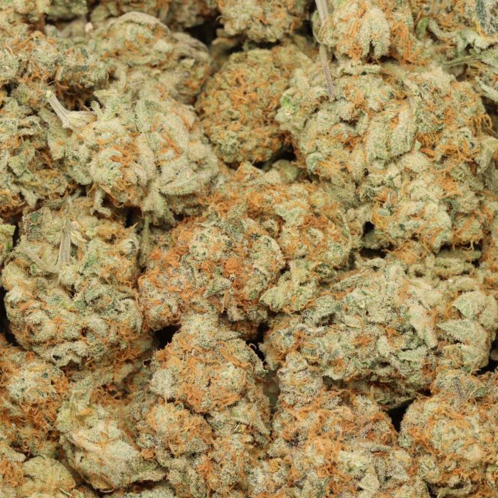 Berry White wholesale