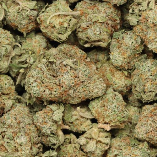 Blueberry Jack wholesale