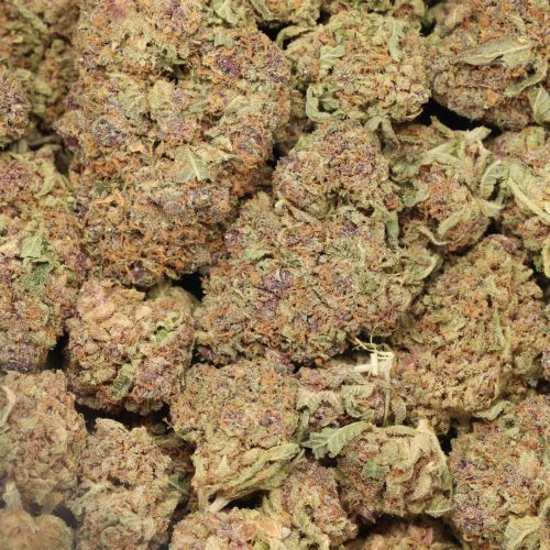 casey jones wholesale