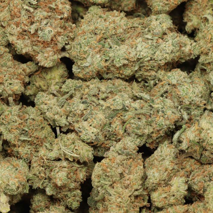 Girl Scout Cookies wholesale