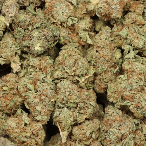 MK Ultra wholesale