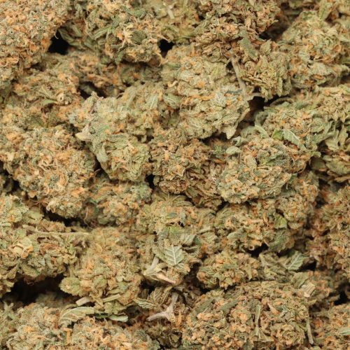 Mango Kush wholesale