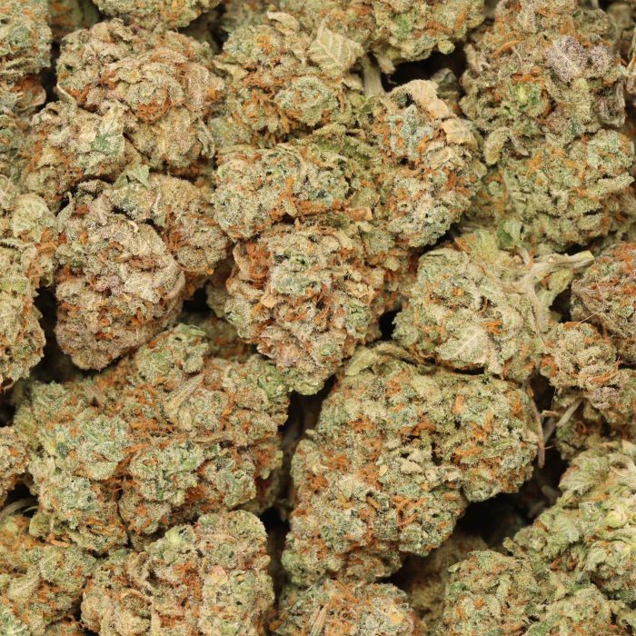 Master Kush wholesale