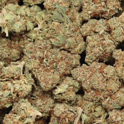 Northern Lights wholesale