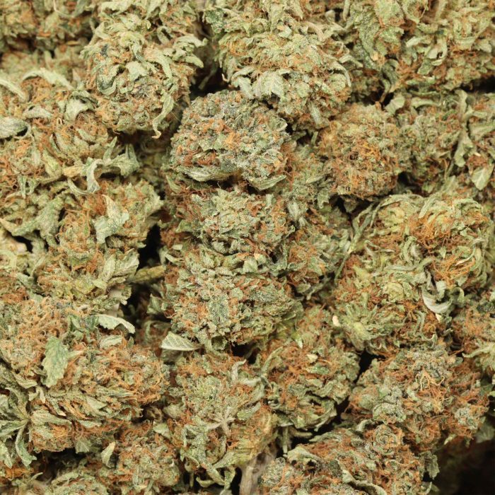 Pink Kush wholesale