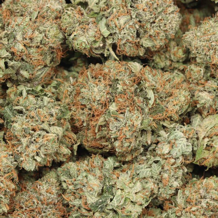 Purple Punch wholesale