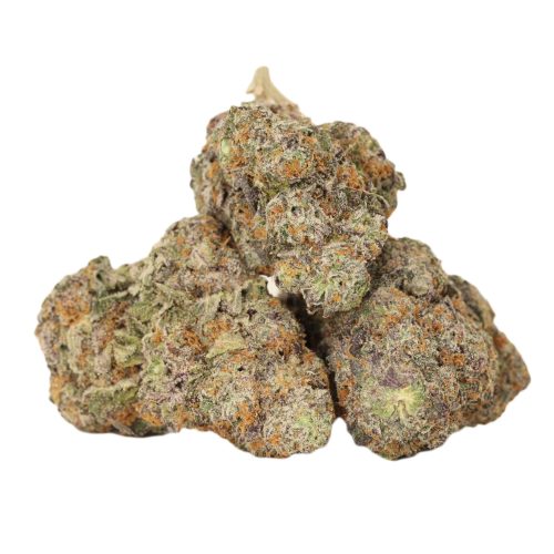 Purple Blizzard craft strain