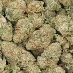 Shiskaberry wholesale