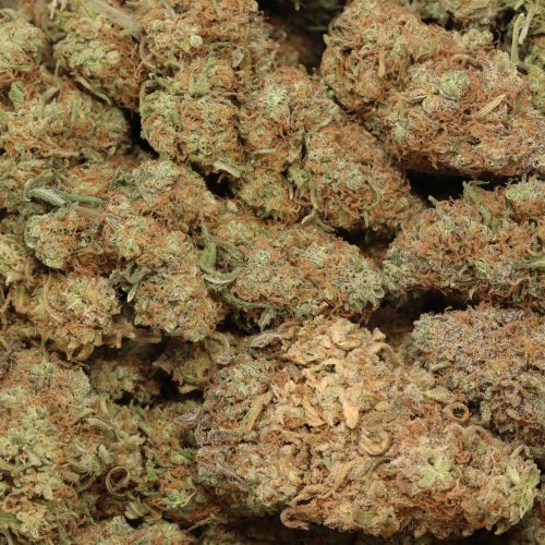 Sour Diesel wholesale