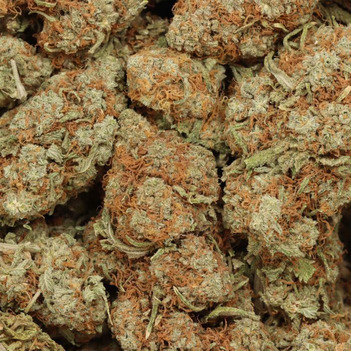 Strawberry Cough wholesale