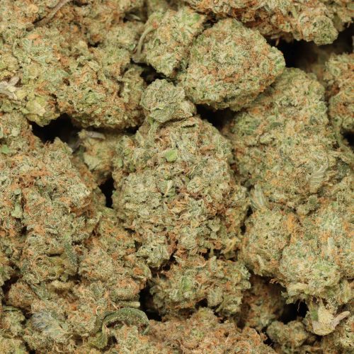 Sunset Sherbert wholesale