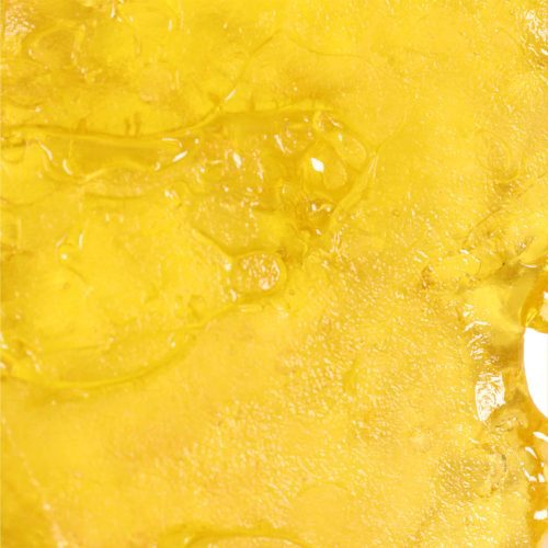 Cherry Chem Shatter wholesale