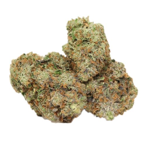 Gas Daddy craft strain