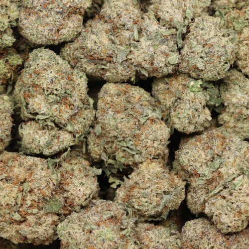 Miracle Alien Cookies craft wholesale