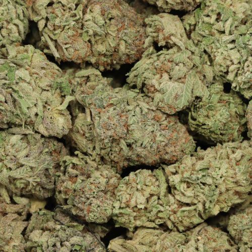 Casey Jones wholesale