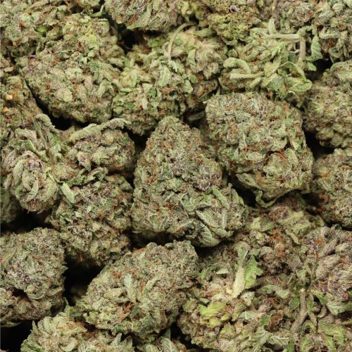 Pink Kush wholesale