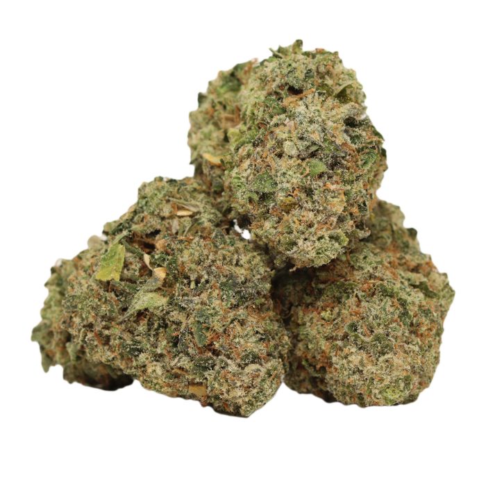 Trunk Funks craft strain