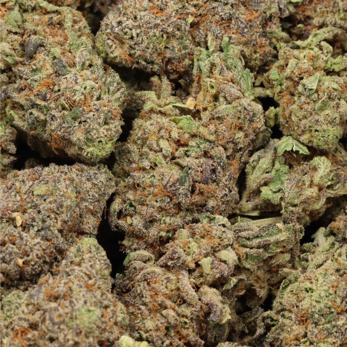 Purple Dream wholesale