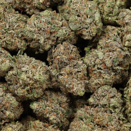 Afghani Death Bubba wholesale cannabis