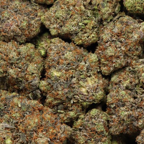 Afghani Pink wholesale cannabis