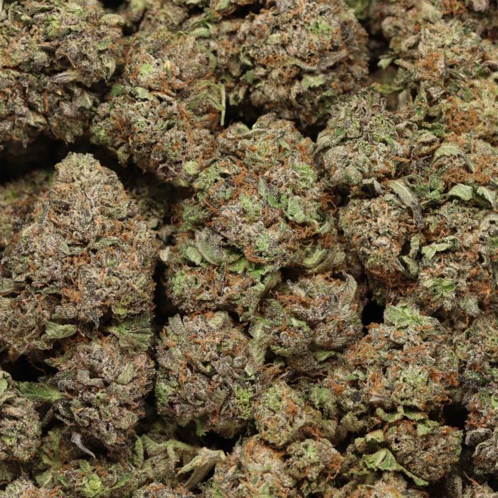 Astro Pink Kush wholesale cannabis