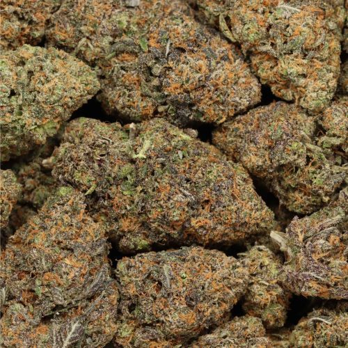 Banana Runtz wholesale cannabis